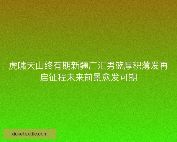 虎啸天山终有期新疆广汇男篮厚积薄发再启征程未来前景愈发可期