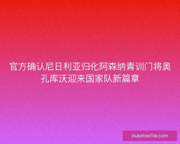 官方确认尼日利亚归化阿森纳青训门将奥孔库沃迎来国家队新篇章
