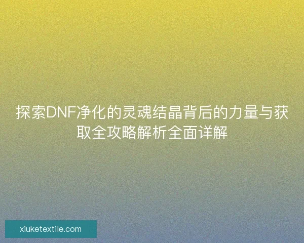 探索DNF净化的灵魂结晶背后的力量与获取全攻略解析全面详解