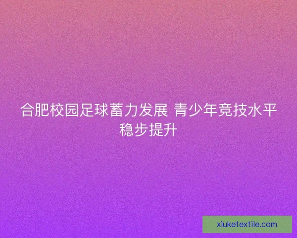 合肥校园足球蓄力发展 青少年竞技水平稳步提升 合肥校园足球蓄力发展 青少年竞技水平稳步提升