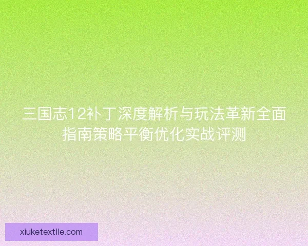 三国志12补丁深度解析与玩法革新全面指南策略平衡优化实战评测 三国志12补丁深度解析与玩法革新全面指南策略平衡优化实战评测