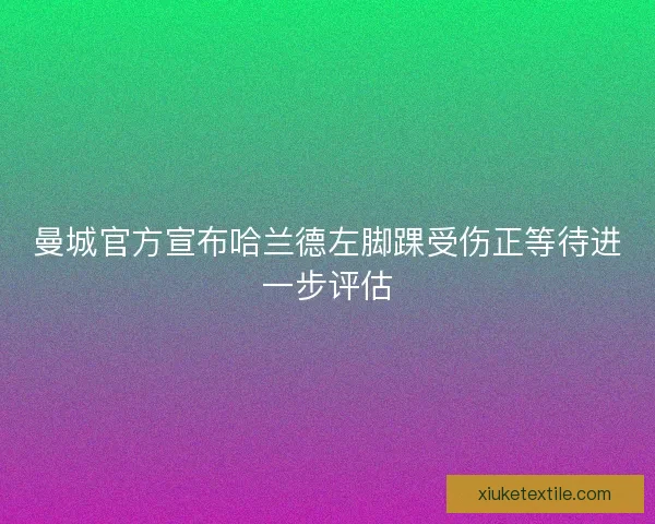 曼城官方宣布哈兰德左脚踝受伤正等待进一步评估