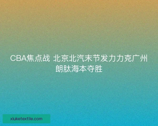 CBA焦点战 北京北汽末节发力力克广州朗肽海本夺胜 CBA焦点战 北京北汽末节发力力克广州朗肽海本夺胜