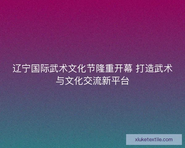 辽宁国际武术文化节隆重开幕 打造武术与文化交流新平台